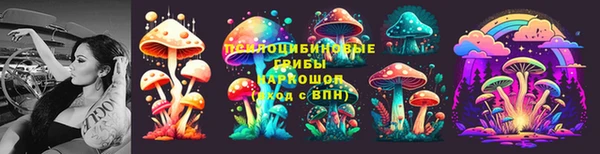 spice Беломорск