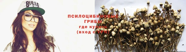 spice Беломорск