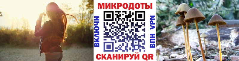 Псилоцибиновые грибы ЛСД  Купить где  Макаров 